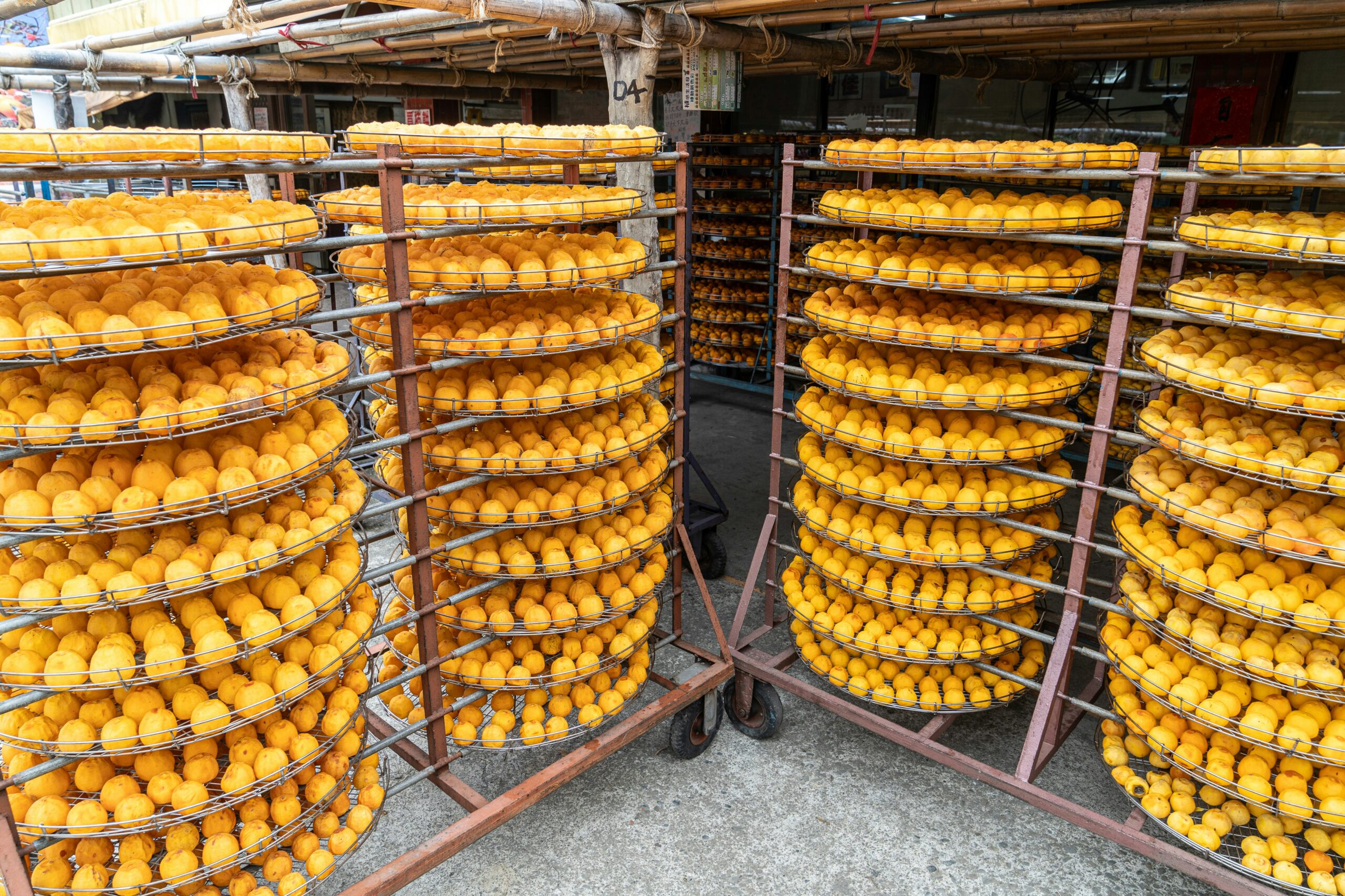 pakistan-food-processing-germany-export.jpg